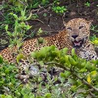 Das Beste von Sri Lanka Reise-Foto #1