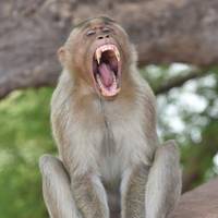 Der Zauber Kenias Safari Rundreise - 7 Tage Reise-Foto #1