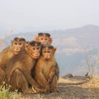 Der Zauber Kenias Safari Rundreise - 7 Tage Reise-Foto #2