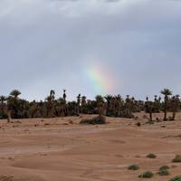 Marokko rondreis 14 dagen vanuit Casablanca: foto van de reiziger #2