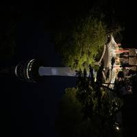Corea del Sur 6 días - One Life Adventures: foto del viajero #1