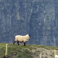 Experimente la Irlanda salvaje - Circuito en grupo reducido - 10 días: foto del viajero #1