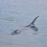 Perth nach Broome Tour mit Kalbarri, Ningaloo Riff, Exmouth & Karijini Reise-Foto #1