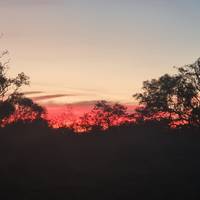 Perth nach Broome Tour mit Kalbarri, Ningaloo Riff, Exmouth & Karijini Reise-Foto #2
