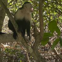 Photo de voyageur Le meilleur du Costa Rica (activités incluses et hôtels de catégorie supérieure) #1