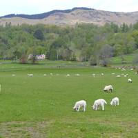 5 Tage ultimatives Highland-Abenteuer Reise-Foto #2