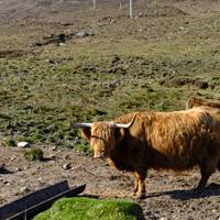 5 Tage ultimatives Highland-Abenteuer Reise-Foto #3