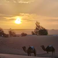 Königsstädte & Sahara Entdeckungsreise ab Marrakesch Reise-Foto #1