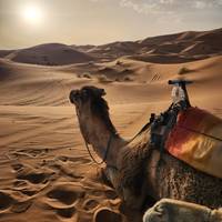 Königsstädte & Sahara Entdeckungsreise ab Marrakesch Reise-Foto #3