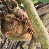 One Life Adventures präsentiert die Ostphilippinen 10 Tage Reise-Foto #1