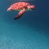 West Philippines Classic 10 Day - One Life Adventures traveler photo #1