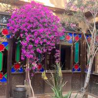 Cycle Morocco - Atlas to the Sahara traveler photo #3