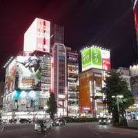 Japan Abenteuer 13 Tage Reise-Foto #3