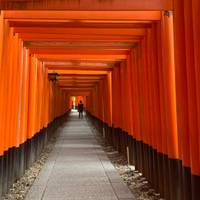 Japan Klassiker mit One Life Adventures 10 Tage Reise-Foto #3