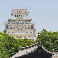 Photo de voyageur 14 Jours Japon Panoramique (Hôtels privés 3 étoiles) #1