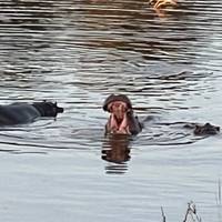 De pracht van Zuid-Afrika & de Victoria Falls: foto van de reiziger #1