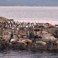 Argentina - Buenos Aires, Calafate y Ushuaia - 10 días: foto del viajero #2