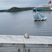 Legendäre Fjorde und Nordpolen bis Warschau (18 Destinationen) Reise-Foto #3