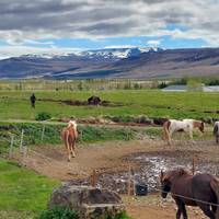8-Day Summer Iceland Ring Road & Landmannalaugar Highland Small Group Tour traveler photo #3