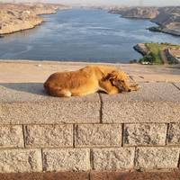 Das Beste der Türkei, Ägyptens und Jordaniens (Istanbul/Kappadokien/Kairo/Nilkreuzfahrt/Petra)Alle Flüge inkl. Reise-Foto #1