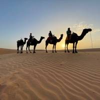 4 Tage private Sahara-WüstenReise ab Marrakesch: Atlasgebirge, Kasbahs & Luxus-Camp Reise-Foto #2