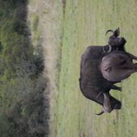 Safari zuidelijk Afrika (27 bestemmingen): foto van de reiziger #3