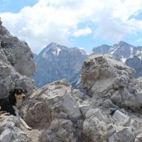 Peaks of the Balkans – een zelfgeleide wandeltocht – 7 dagen: foto van de reiziger #2