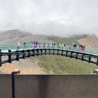 Verken de Canadese Rockies – Banff, Jasper & Yoho National Parks – 5 dagen: foto van de reiziger #3