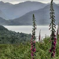 Scottish Islands Grand Tour - 14 days traveler photo #1
