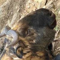 Een glimp van Bhutan: foto van de reiziger #3