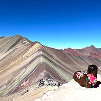 Photo de voyageur Pérou Express - 10 jours (Lima - Cusco - Machu Picchu & Puno) avec vols intérieurs #1