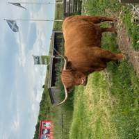 Highlands & Skye Trail: foto van de reiziger #2