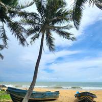Sri Lanka Grand Discovery Rundgang Reise-Foto #2