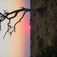 Photo de voyageur Safari dans le parc national Kruger et sur la route panoramique - 3 jours #2
