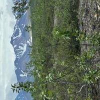 Avontuur in Alaska - Kenai & Denali: foto van de reiziger #2