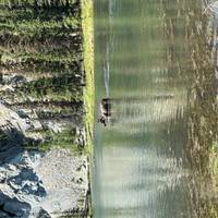 Avontuur in Alaska - Kenai & Denali: foto van de reiziger #3