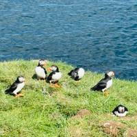 6 Day - Iceland Ring Road with Blue Lagoon Admission - Small-Group Tour traveler photo #2