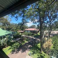 Costa Rica: San José with optional Tortugas Island - 7 days traveler photo #1