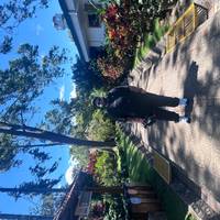Costa Rica: San José with optional Tortugas Island - 7 days traveler photo #2