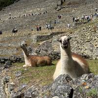 Photo de voyageur Inca Adventures - 7 jours (Lima, Paracas, Ica, Cusco, Machu Picchu et Rainbow Mountain) - Avec vols intérieurs #2