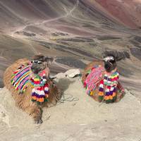 Photo de voyageur Inca Adventures - 7 jours (Lima, Paracas, Ica, Cusco, Machu Picchu et Rainbow Mountain) - Avec vols intérieurs #3