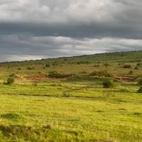 7 Daagse safari van het beste van Kenia: foto van de reiziger #2
