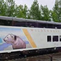 Photo de voyageur Grande aventure en Alaska #2