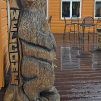 Photo de voyageur Grande aventure en Alaska #3