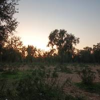 9 días de Ciudades Imperiales y Campamento de Lujo en el Desierto y Marruecos desde Casablanca: foto del viajero #1