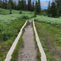 Photo de voyageur Trek dans les Rocheuses canadiennes et excursion en canoë #2