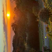 Costa Rica: San José with optional Tortugas Island - 7 days traveler photo #1