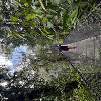 Costa Rica: San José with optional Tortugas Island - 7 days traveler photo #2
