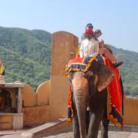 Rondreis door Zuid- en Noord-India: foto van de reiziger #1