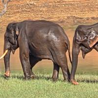 Rondreis door Zuid- en Noord-India: foto van de reiziger #3